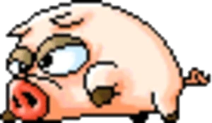 돼지